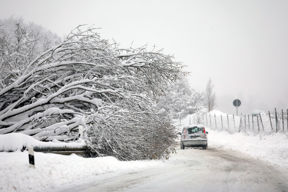 Vielerorts kippten Bäume unter der Schneelast um.