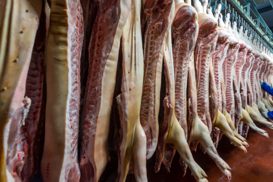 Frechen: 55 Fleischbetrieb-Mitarbeiter mit Corona infiziert