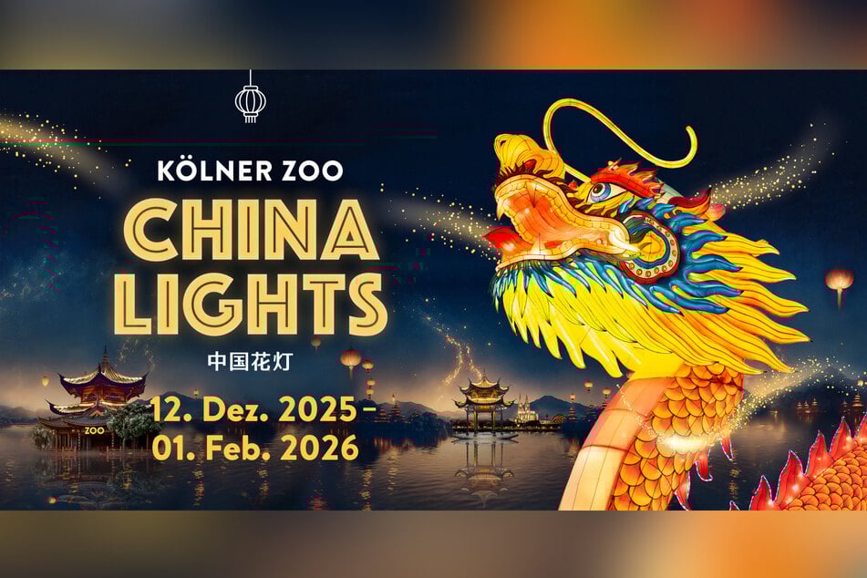 Die "China Lights" im Kölner Zoo laden ab Dezember 2025 wieder zu einer spektakulären Lichter-Show ein.