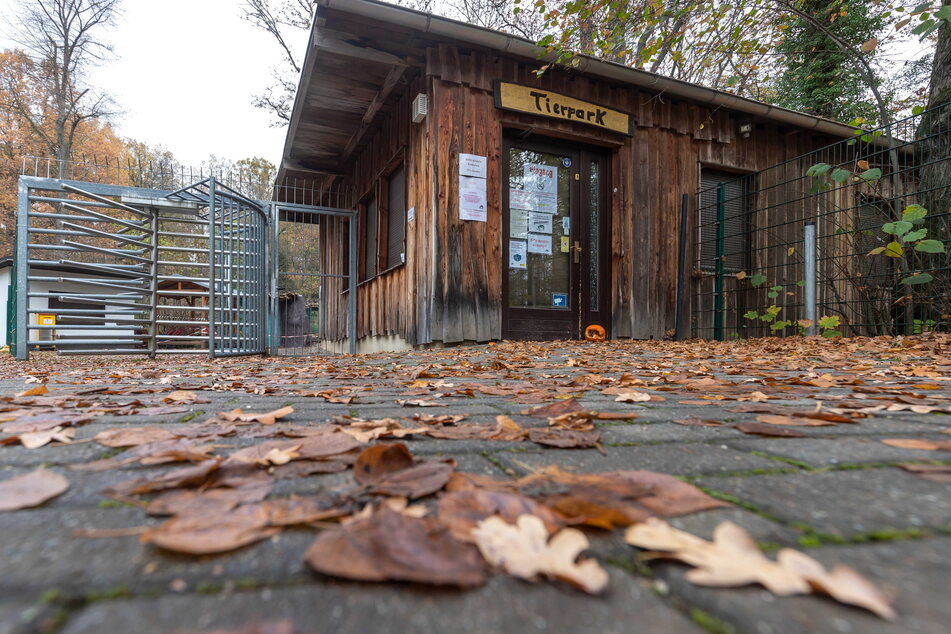 Orkanwarnung für Chemnitz: Der Tierpark wird bei Sturm zur Sicherheit geschlossen.