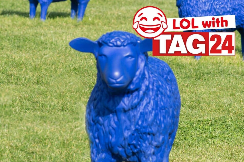 Joke of the Day for January 9, 2026: Animal hilarity!