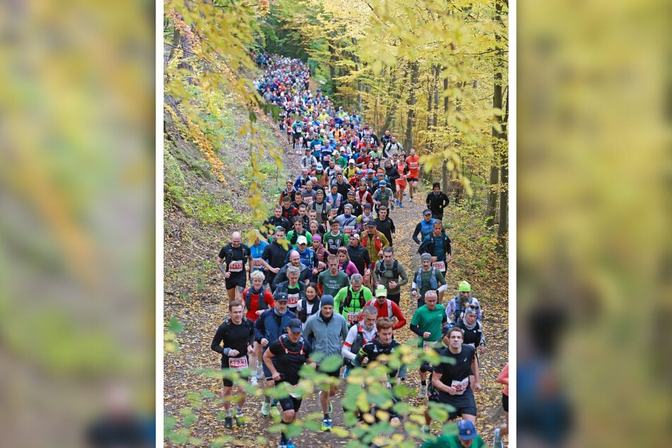 3756 Läufer bestritten dieses Jahr den Brocken-Marathon.