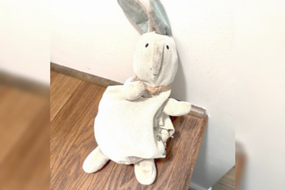 Hier war Hase Cecil noch im Exil, durfte danach aber per Expressversand zurück zu Kuschelpartner Ava.