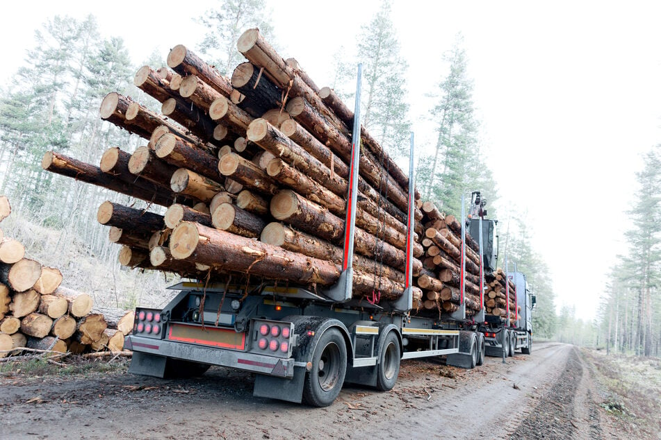 Als der Holztruck die Biker überholte, löste sich ein Stamm. (Symbolbild)