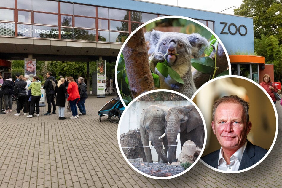 Eine halbe Million Euro Miese: Muss der Dresdner Zoo jetzt Tiere verkaufen?