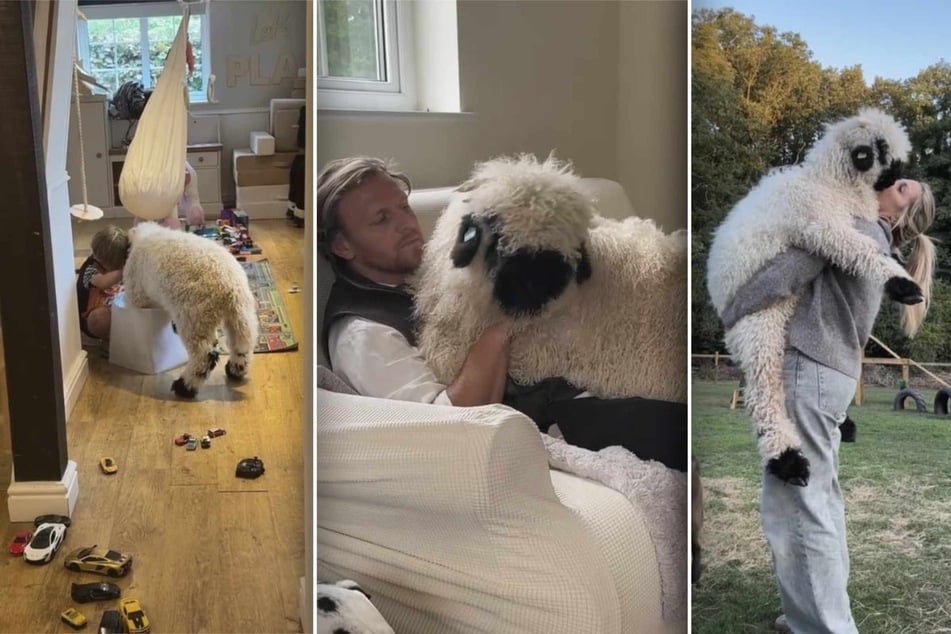 When the Brayley family adopted a sheep, they never thought it would behave more like a dog than a barnyard animal!