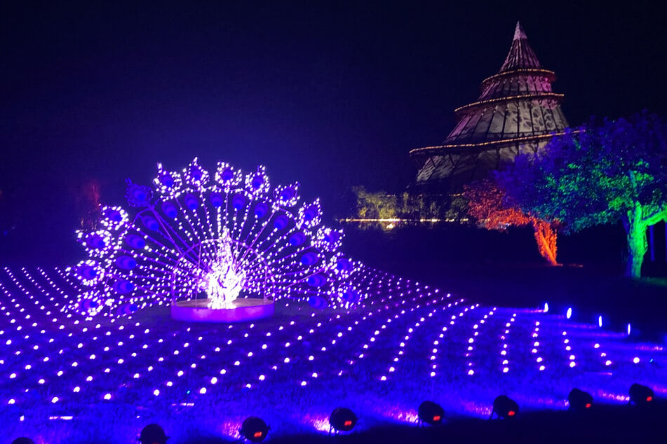 "Lumagica" im Elbauenpark öffnet am Wochenende wieder seine Pforten.