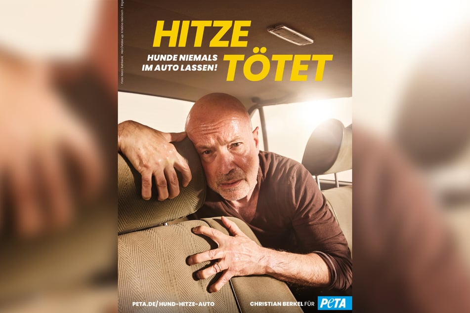 Das neue PETA-Plakat mit Christian Berkel ist am heutigen Donnerstag veröffentlicht worden – kurz vor einer erneuten Hitzewelle.