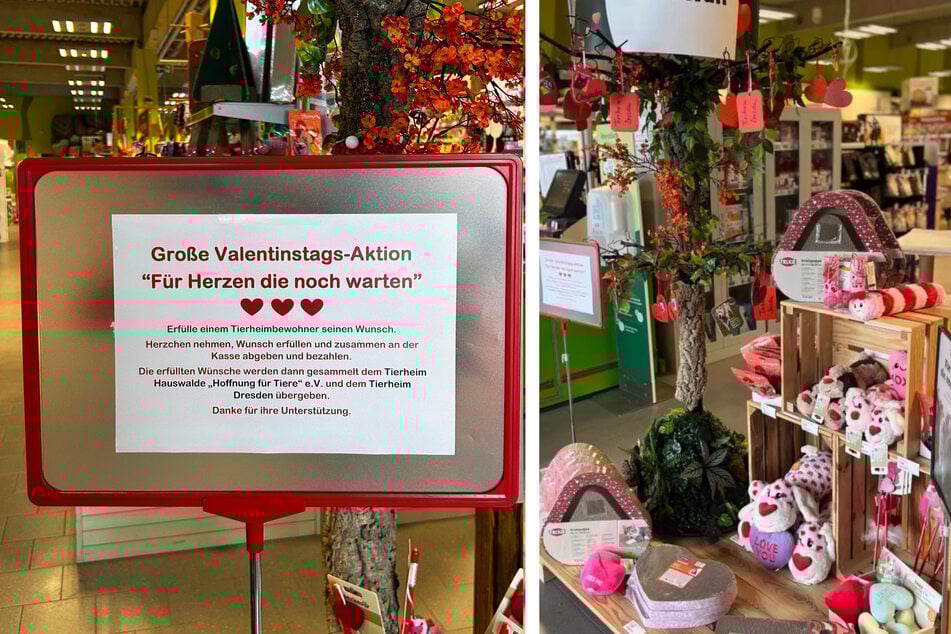 In der Fressnapf-Filiale in Dresden-Gompitz kann man nicht nur tolles Spielzeug kaufen, sondern auch lokale Tierheime unterstützen, indem man die Herzenswünsche der Tiere erfüllt.