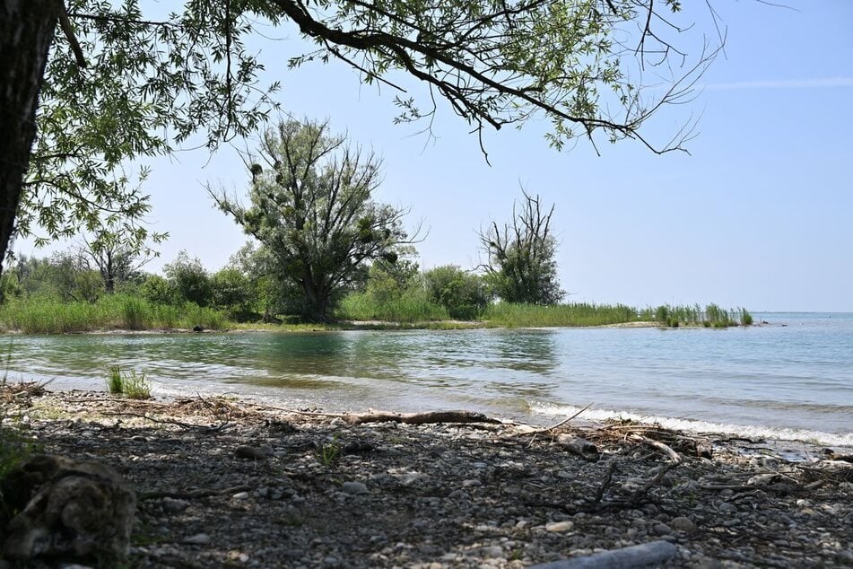 Neuer FKK-Strand am Bodensee kommt, doch Umweltschützer warnen