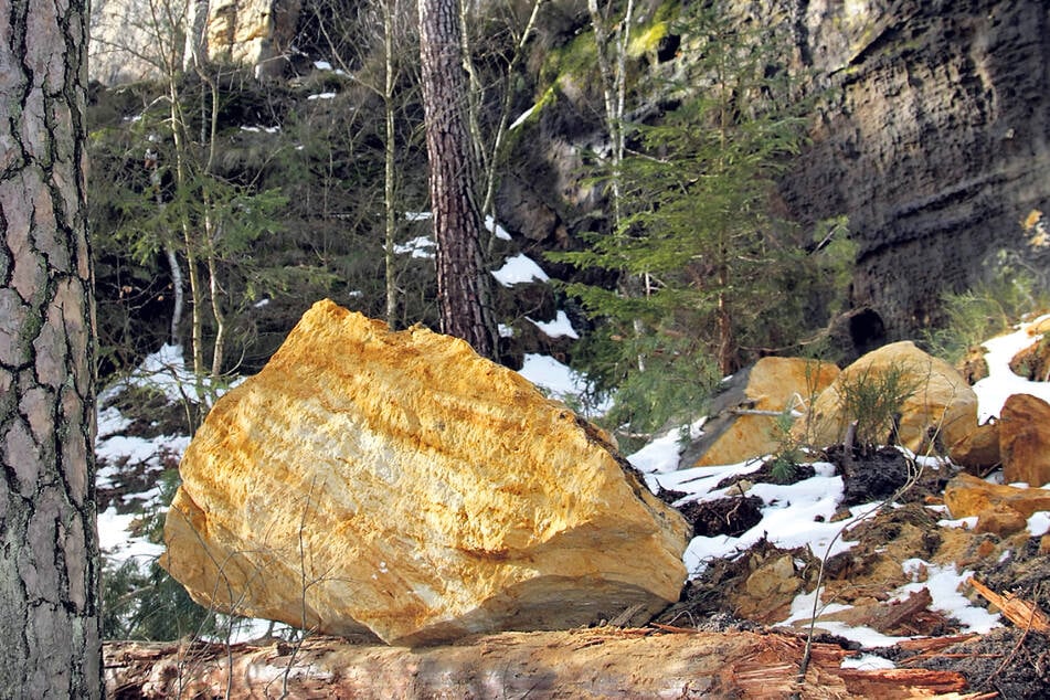 Liegt stabil, sagt die Parkverwaltung: ein abgestürzter Felsbrocken unterhalb der Schrammsteine.