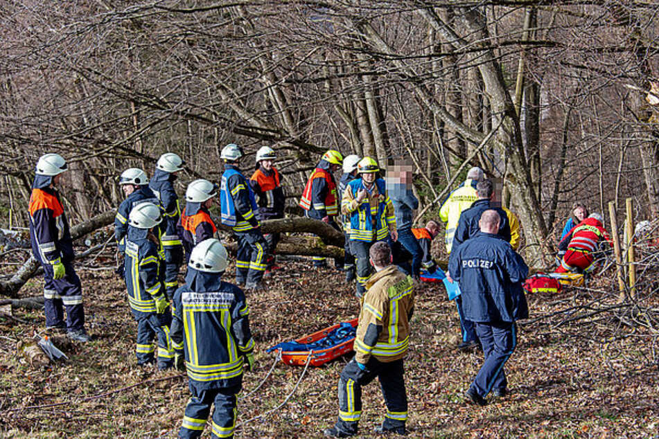 Tragischer Forstunfall: 15 Meter lange Baumkrone stürzt auf Mann