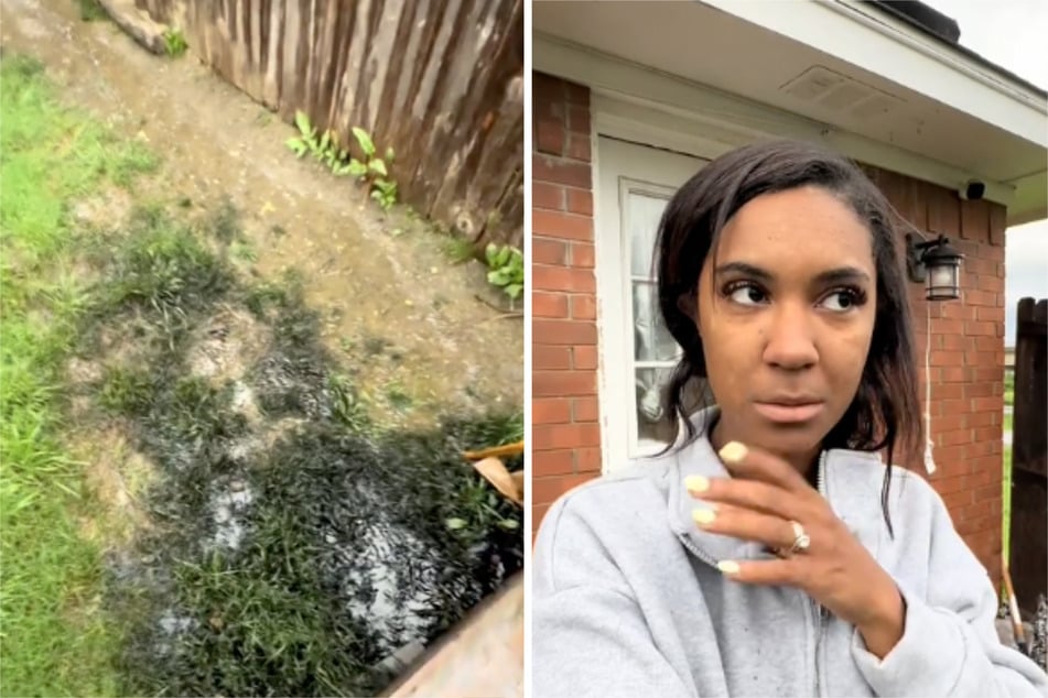 Lauren Ray war schockiert, als sie diese Flecken in ihrem Garten entdeckte. "Sagt mir, bin ich jetzt Millionärin?", fragte sie ihren Follower auf TikTok.