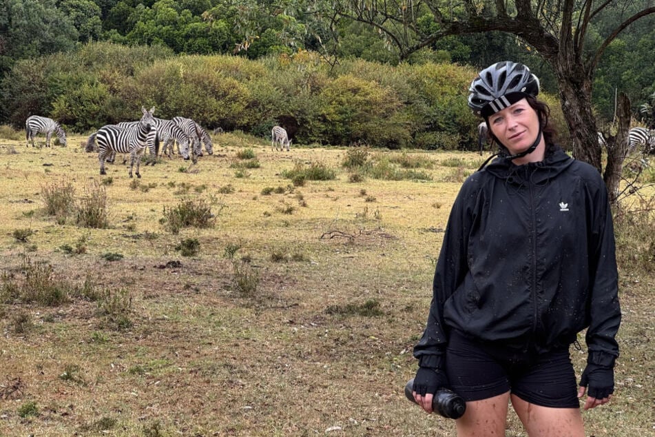 Auch Zebras kam der Radlerin auf der Tour ganz nah.