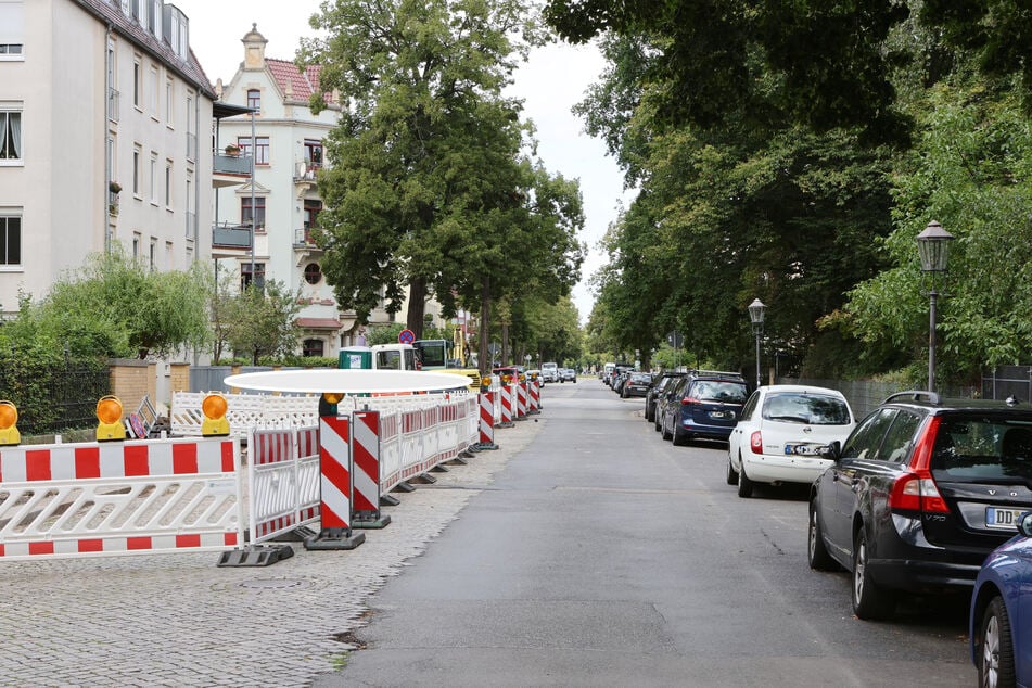An der Augsburger Straße in Striesen werden bis Jahresende 61 Bäume gepflanzt.