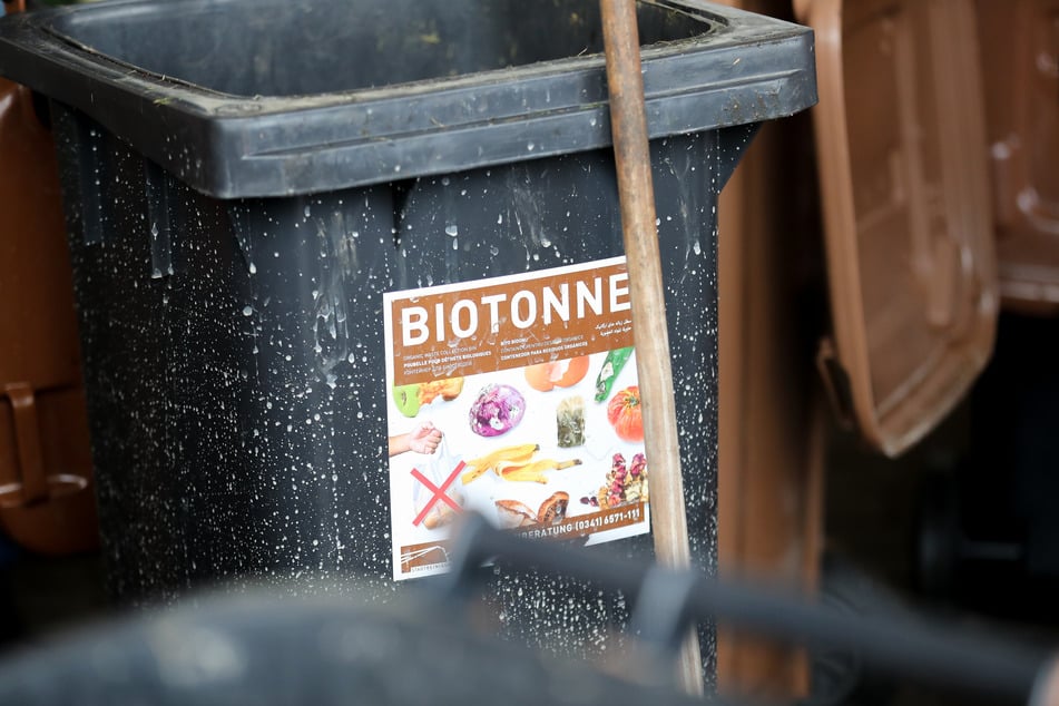 In die Biotonne gehören nur organische Küchenabfälle.