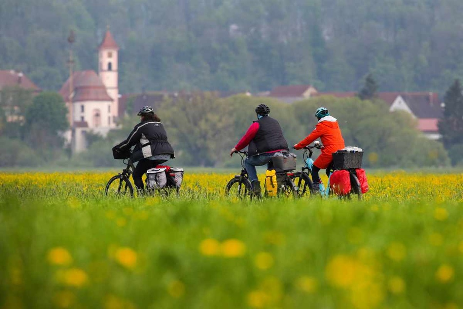 Riedlingen (Baden-Württemberg): Radfahrer sind auf dem Donau-Radwanderweg unterwegs.
