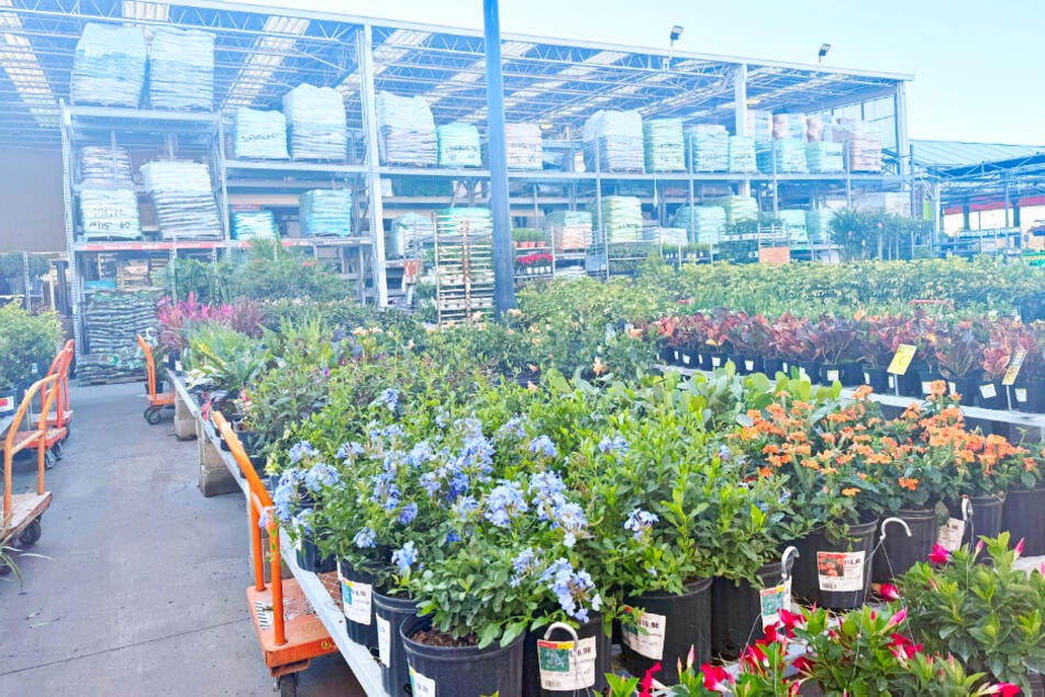 Hobby gardeners love Home Depot because of these great deals