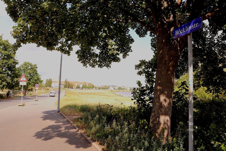 An der Böcklingstraße sollen die beiden Teenager mindestens fünf Passanten verletzt haben.
