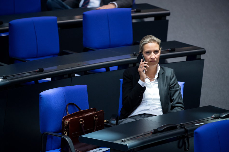 Vorsitzende der AfD-Bundestagsfraktion, Alice Weidel (41). (Archivbild)