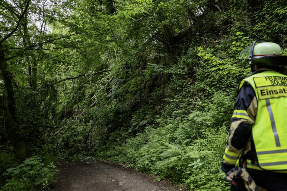 Lebensgefahr! Feuerwehr warnt vor Betreten von beliebtem Wanderweg in NRW