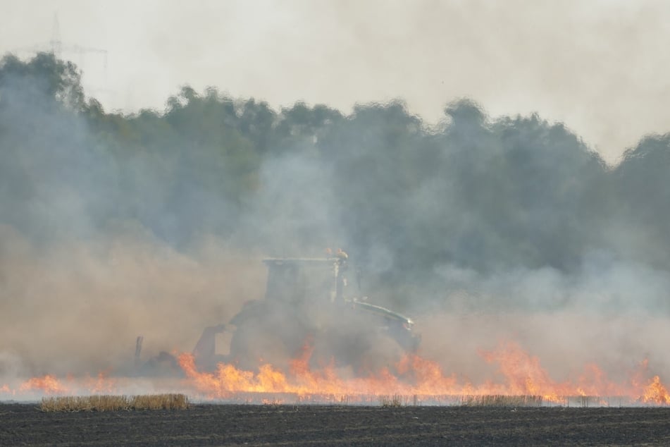Mehr als zehn Hektar in Flammen: Feuerwehr kämpft gegen Feldbrand