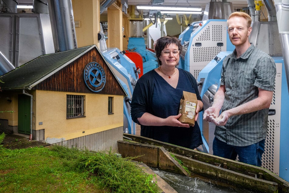 Chemnitz: So viel Braunkohle spart die Rolle-Mühle mit Wasserkraft