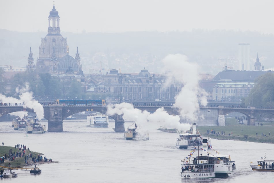 Dampfer der Sächsischen Dampfschiffahrt reihen sich auf der Elbe vor der Kulisse der historischen Altstadt aneinander zur Flottenparade. (Archivbild)