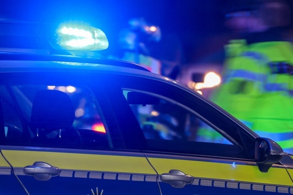 Die Polizei fahndet jetzt nach der Person, die in dem Katzenkostüm steckt. (Symbolbild)