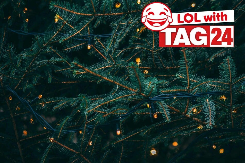 Joke of the Night for December 14, 2025: A Christmas laugh