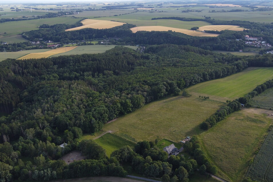 In diesem Waldstück zwischen dem Roßweiner Ortsteil Mahlitzsch und dem Döbelner Ortsteil Hermsdorf wurde am Dienstagnachmittag eine Leiche gefunden.