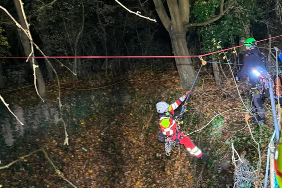 Ein Foto der einzigartigen Rettungsaktion im November 2024.