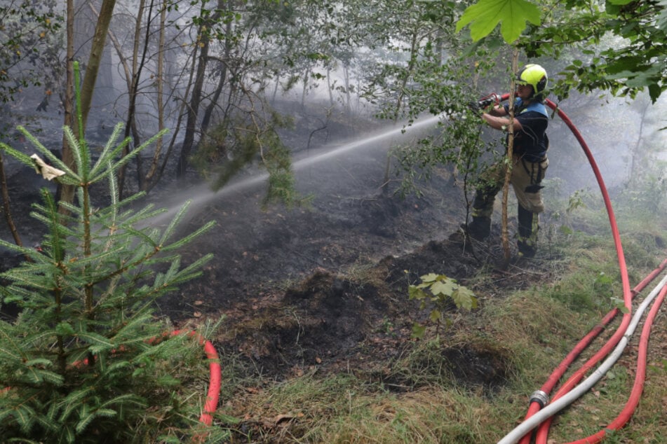 Stadtwald in Flammen! Feuer in Thüringens drittgrößter Stadt ausgebrochen
