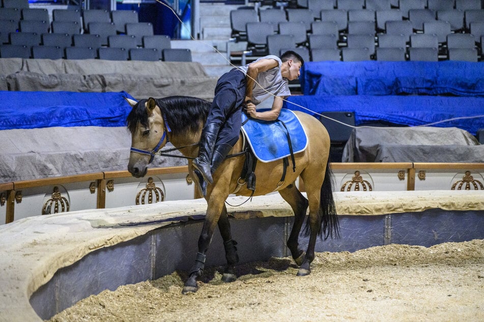 Die Artisten des Circus Krone trainieren täglich, auch bei warmen Temperaturen. Eine Klimaanlage soll der Hitze trotzen.
