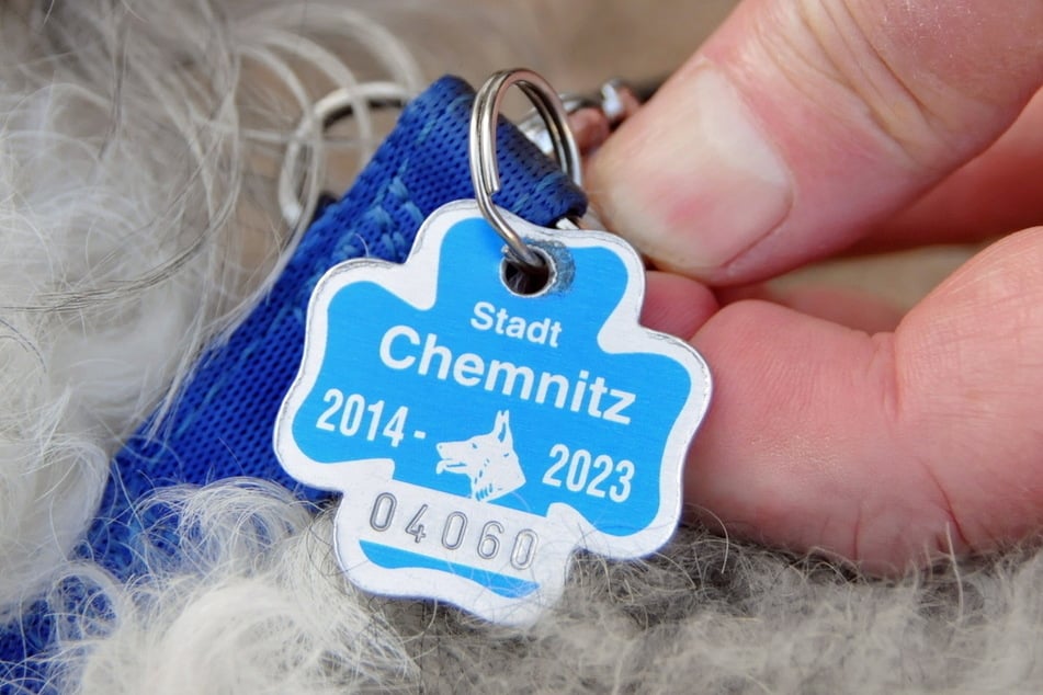 Hunde-Steuermarke als Nachweis - Chemnitz nahm durch die Hundesteuer 2024 knapp 1,1 Millionen Euro ein. (Symbolfoto)