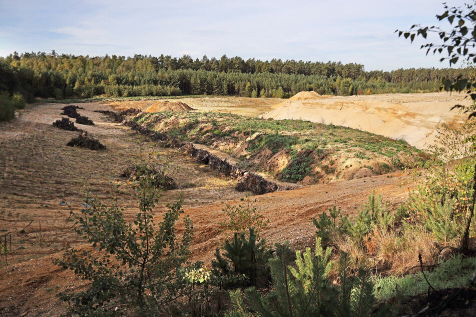 Der "Heidebogen" in der Laußnitzer Heide, nördlich von Dresden, ist jetzt schon eines der größten Kiesabbaugebiete bundesweit. Aber die Abbaufläche soll erweitert werden. Eine Genehmigung liegt bereits vor.