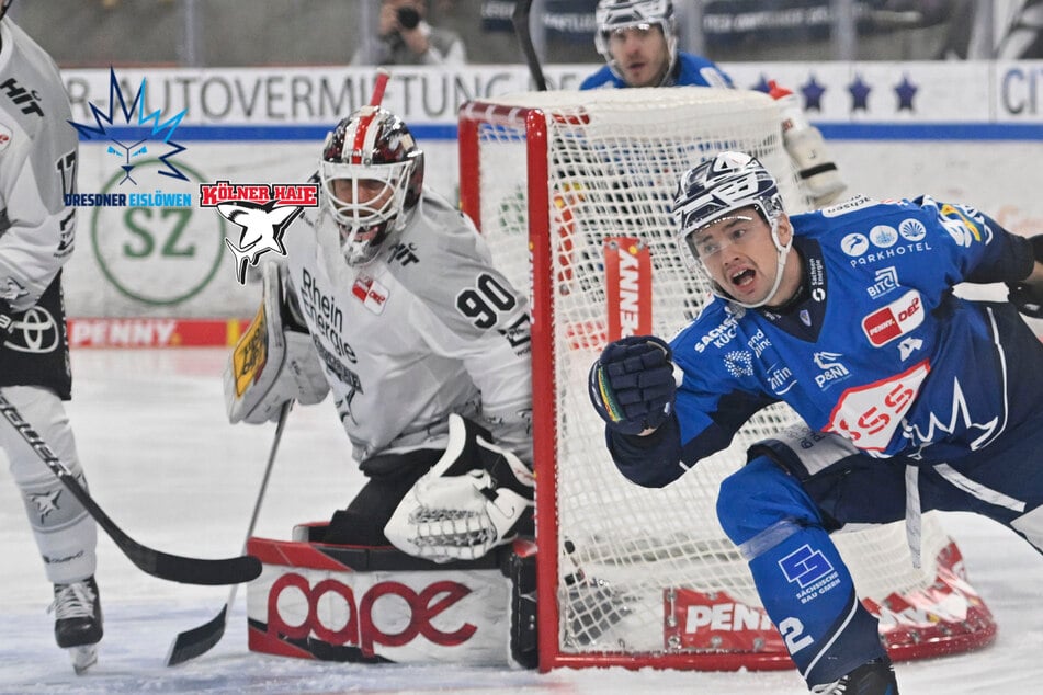 Bitter! Sonderzug der Kölner Haie muss umdrehen, danach zerlegt das Team die Eislöwen komplett