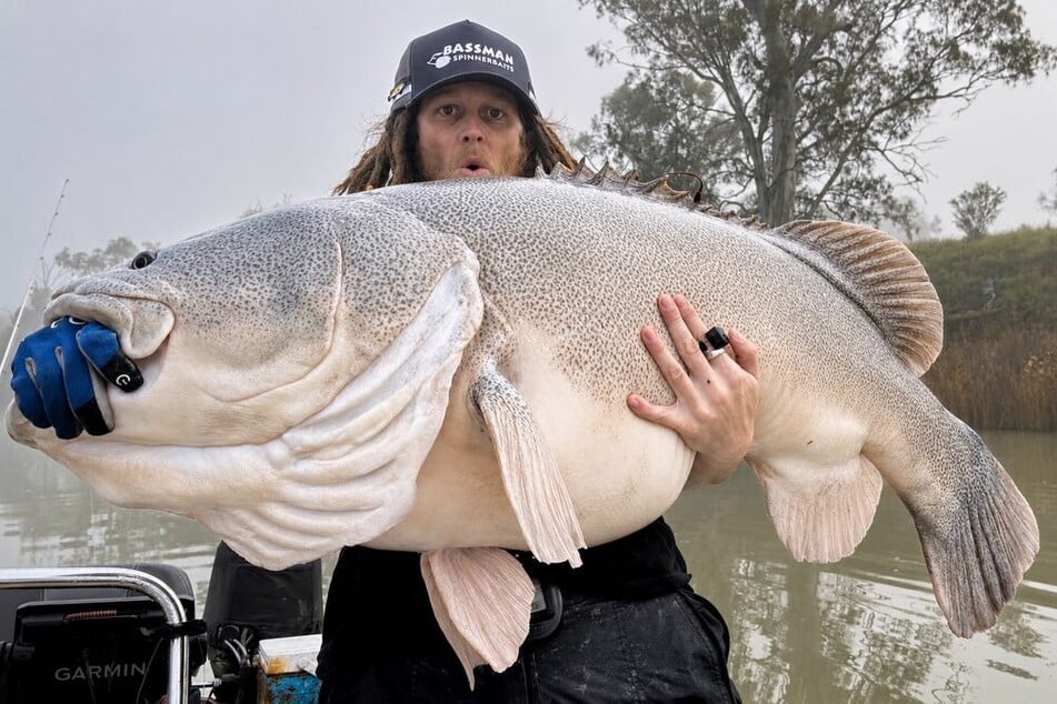 Mit mehreren Bieren intus: Mann fängt rekordverdächtigen Mega-Fisch