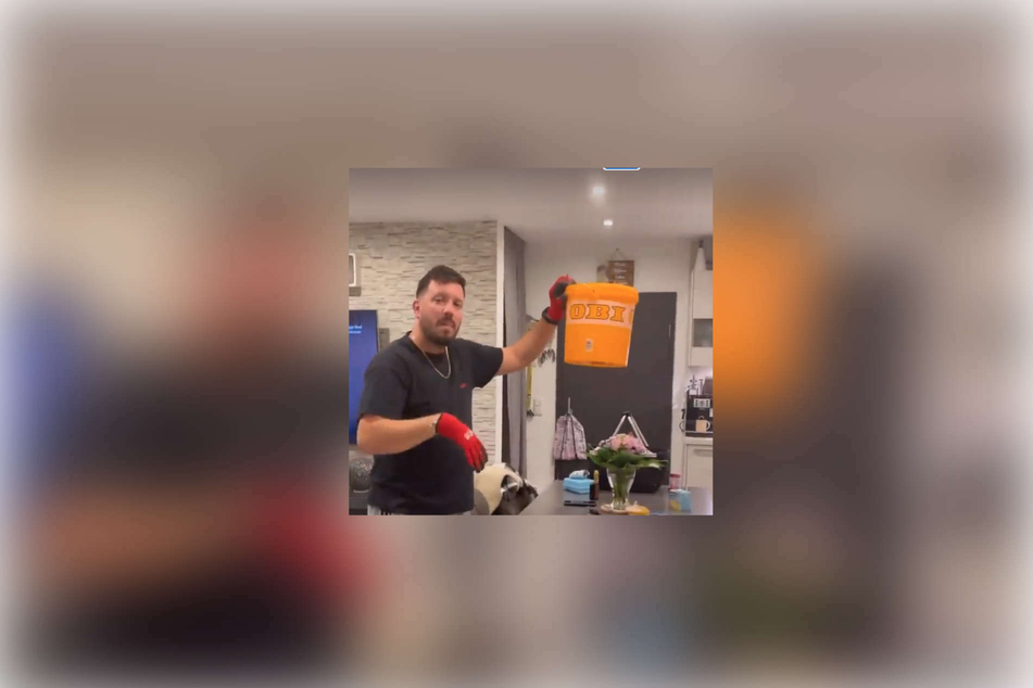 Mithilfe eines Eimers fing Florian Köster (33) die Fledermaus ein.