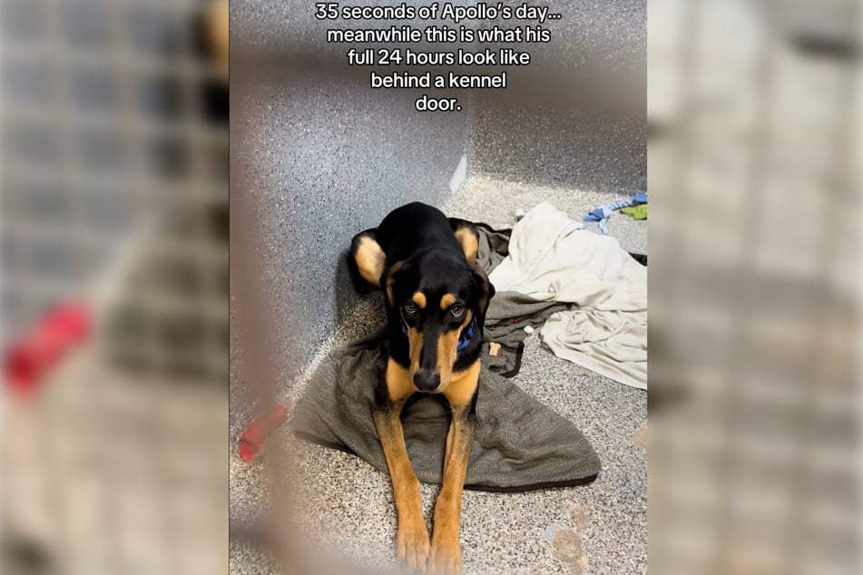 Jackie na TikToku napsala, že zde vidíme 35 sekund z Apollova dne, zatímco pro něj to celé 24 hodin takhle působí.