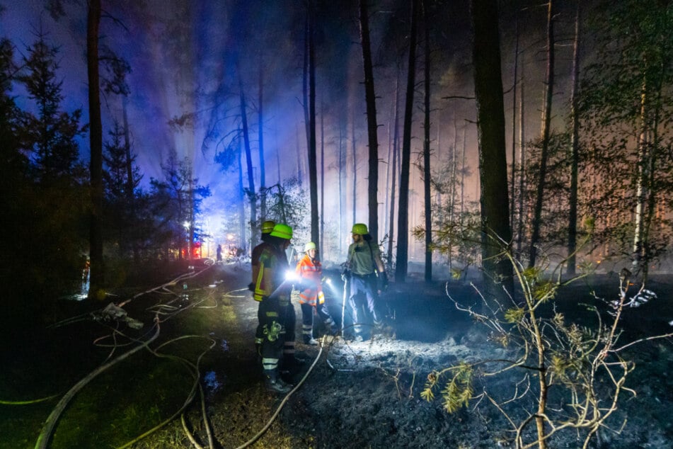 Feuerwehrleute konnten den Brand im Esseler Wald eindämmen.
