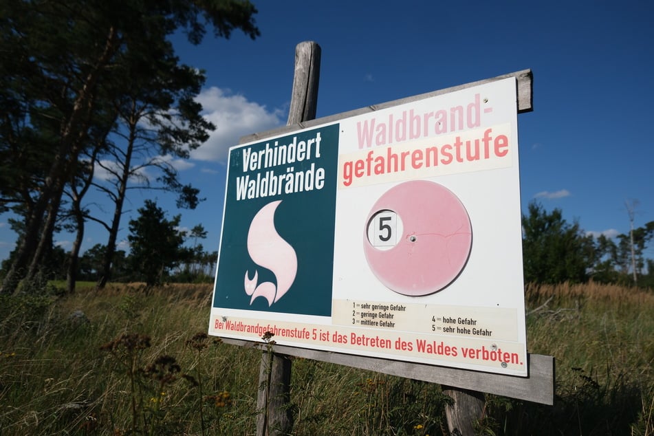 Ein Schild mit der Aufschrift "Verhindert Waldbrände" und dem Hinweis zur Waldbrandgefahrenstufe fünf in Nordsachsen. (Archivfoto)