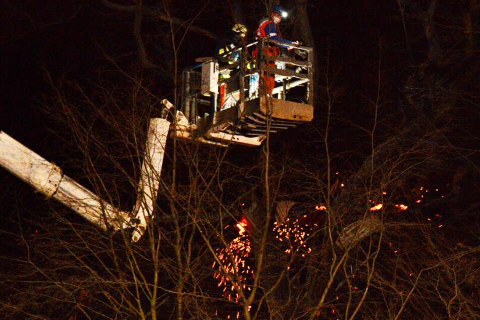 Hambacher Forst: Flammen zerstören Baumhaus, ein Mann schwer verletzt