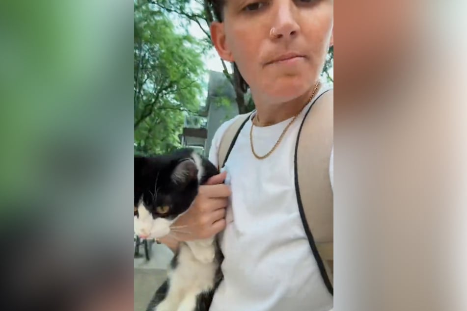 This stranger did everything in her power to help an abandoned cat.