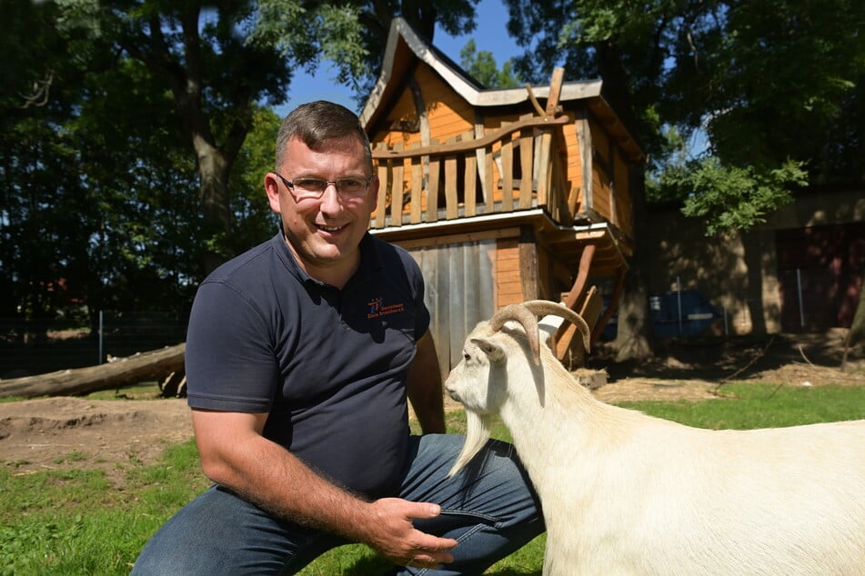 Geschäftsführer Jens Juraschka (47) geht im Tiergehege Waldstraße auf Tuchfühlung mit einer Ziege.