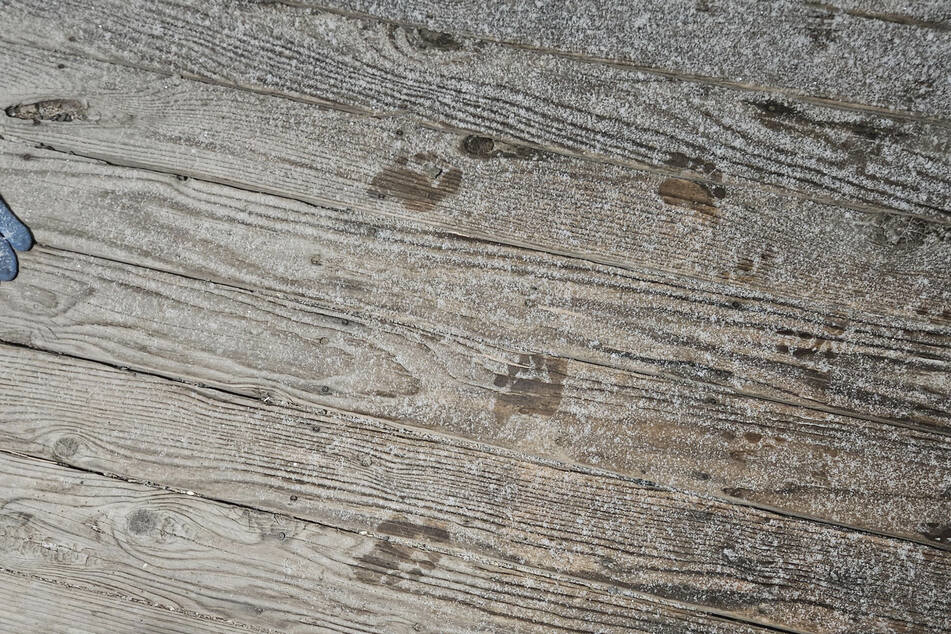 Barfuß und auf Zehenspitzen! Frau entdeckt am Morgen Fußspuren auf Veranda