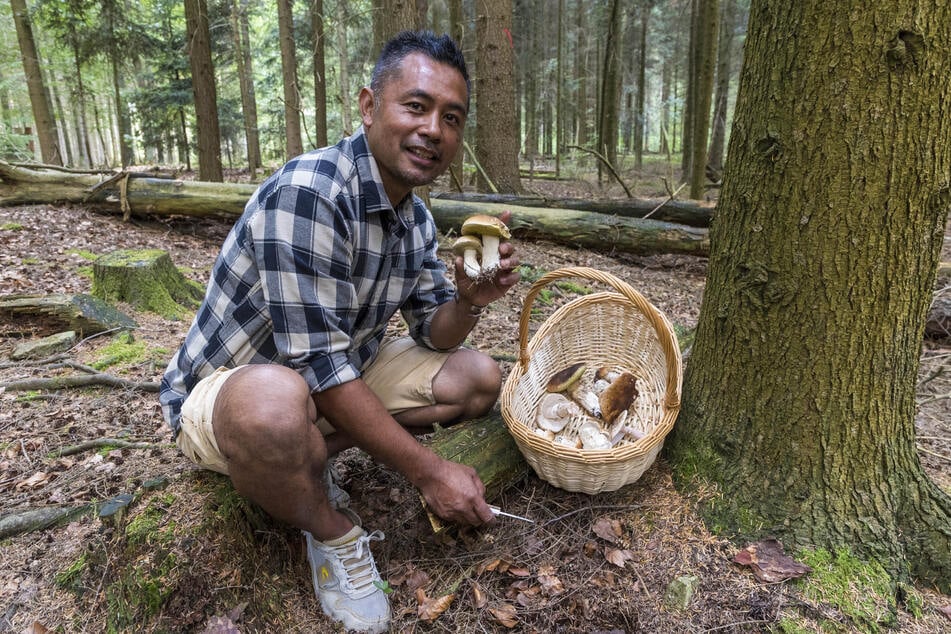 Rolando Omac (49) hat sich in deutsche Pilze verliebt.