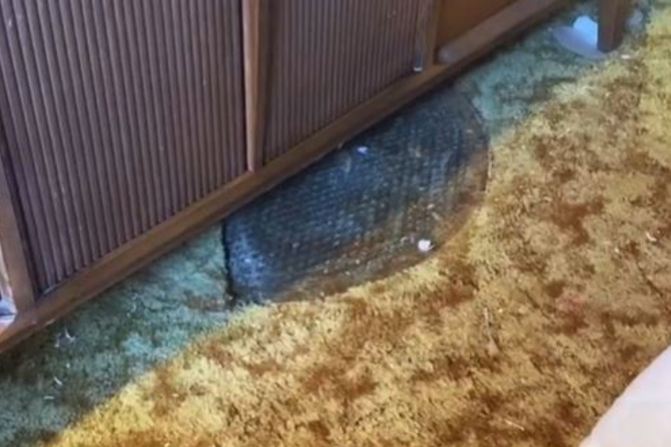 Little and her husband found a manhole underneath their cabinet!
