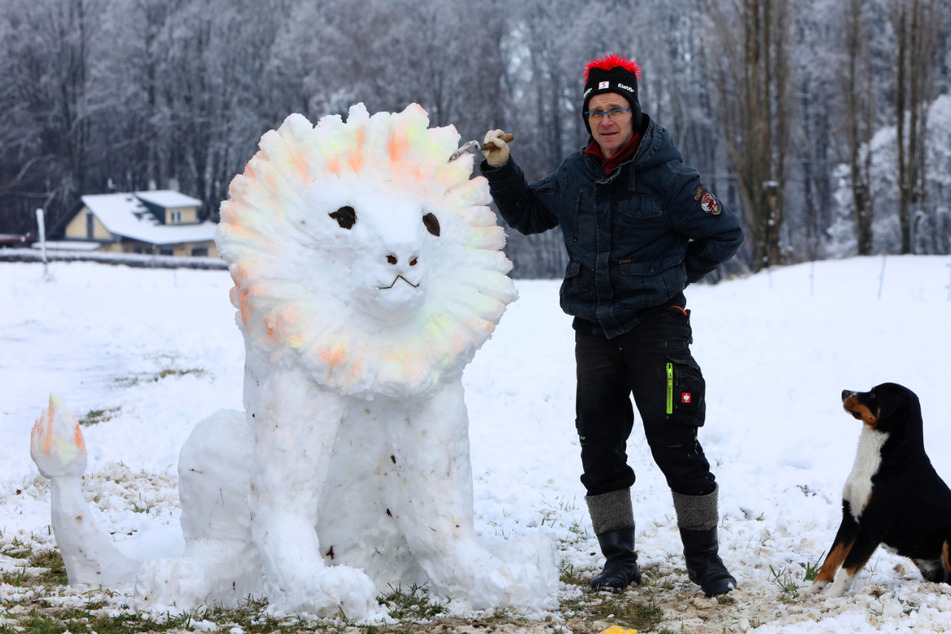 Eisiges Kunstwerk: "König der Löwen" ganz aus Schnee
