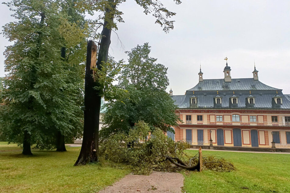 Hinter dem Bergpalais auf dem Gelände des Schlosspark Pillnitz knickten Äste ab.